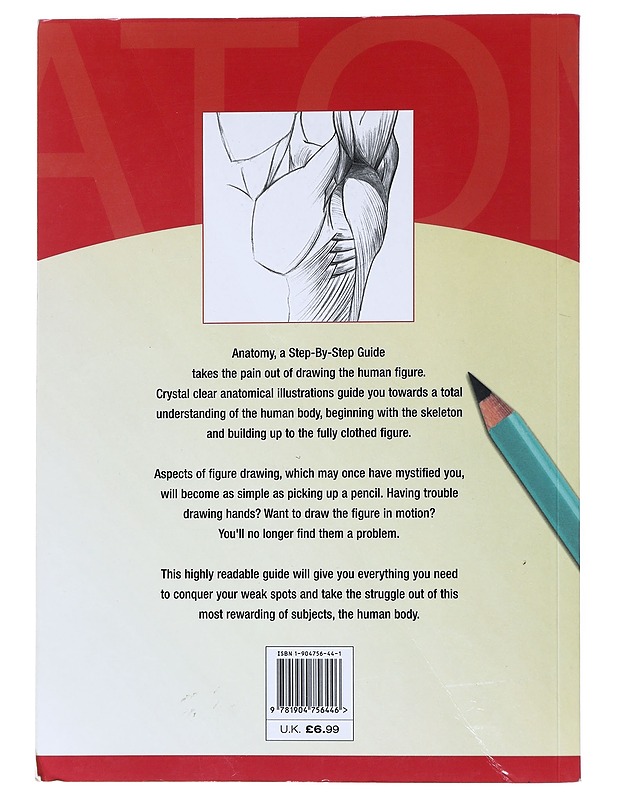 Anatomy Step By Step Guide - Emmett Elvin - Tietokirjat ja oppaat - 10105519356 - 1