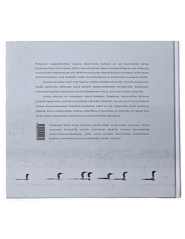 Kuikka : alkulintu - Mauri Leivo - Tietokirjat ja oppaat - 10105519611 - 1