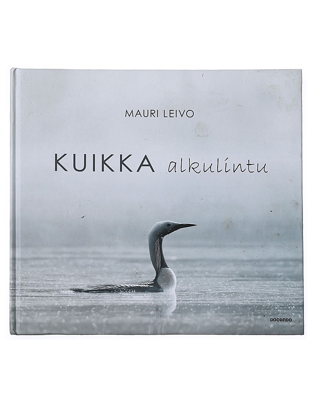 Kuikka : alkulintu - Mauri Leivo - Tietokirjat ja oppaat - 10105519611 - 0