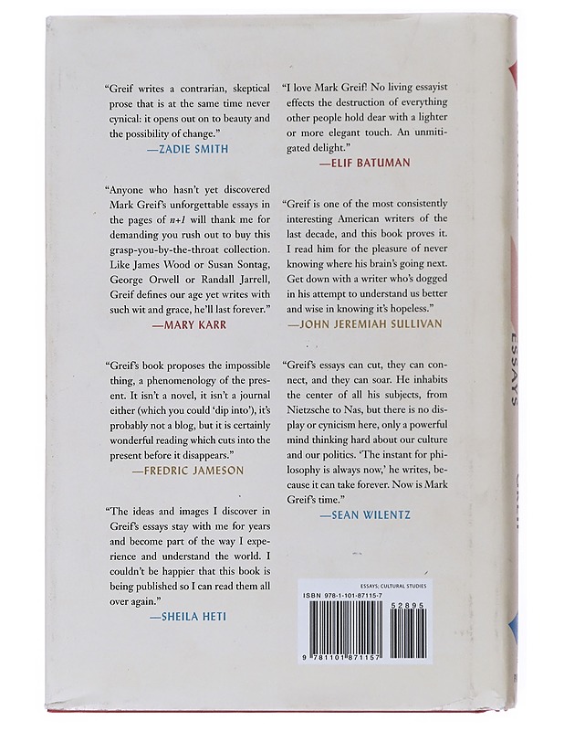 Against Everything: Essays - Mark Greif - Romaanit ja novellit - 10105519647 - 1