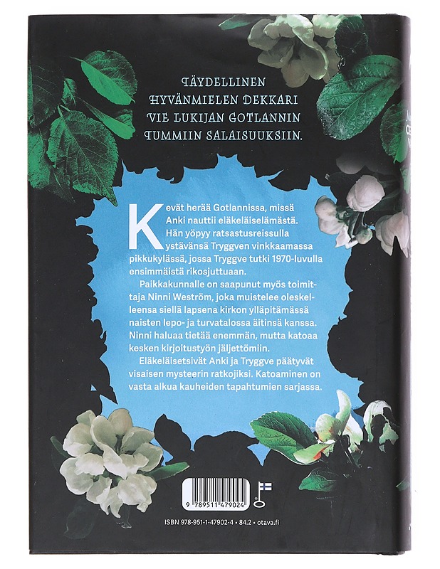 Talo kallion katveessa - Cedervall, Marianne - Kirja lahjaksi - 10105519956 - 1