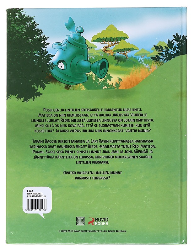 Vihreän linnun arvoitus - Bagge, Tapani - Lastenkirjat - 10105520006 - 1