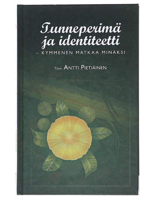 Tunneperimä ja identiteetti : kymmenen matkaa minäksi - Pietiäinen, Antti - Tietokirjat ja oppaat - 10105520026 - 0
