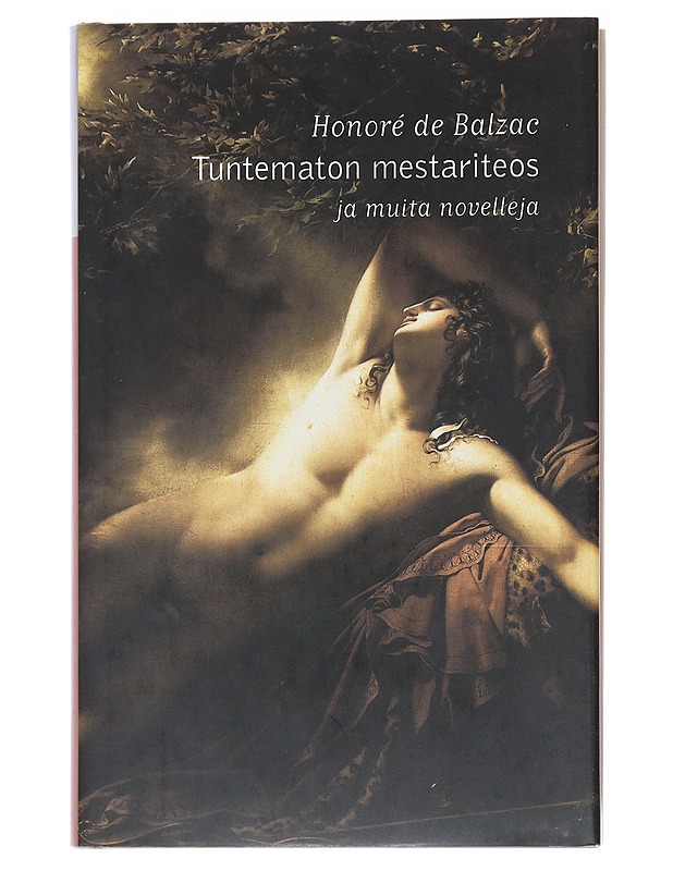 Tuntematon mestariteos ja muita novelleja - Balzac, Honoré de - Romaanit ja novellit - 10105520481 - 0