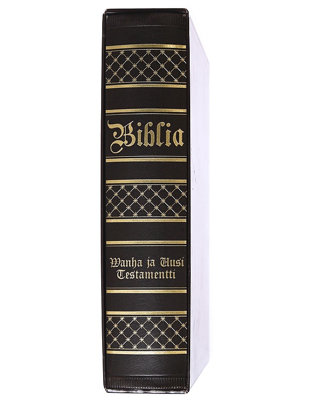 BIBLIA, SE ON : KOKO PYHÄ RAAMATTU - KUV. DORE - Tietokirjat ja oppaat - 10105520604 - 1