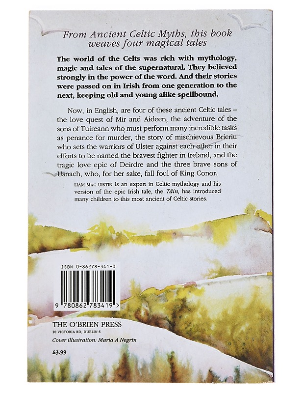 Celtic Magic Tales - Liam Macuistun - Fantasia- ja scifi - 10105520758 - 1