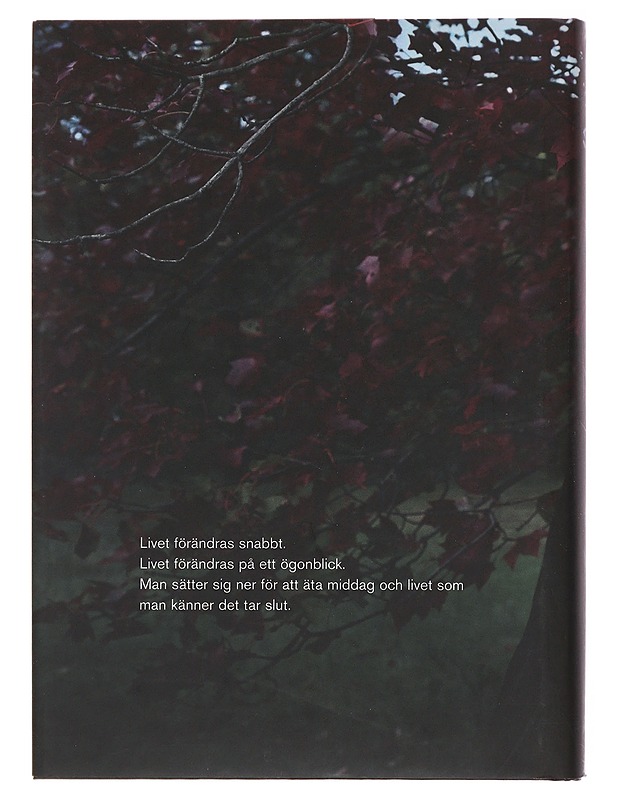 Ett år av magiskt tänkande - Didion, Joan - Elämäkerrat ja muistelmat - 10105520926 - 1