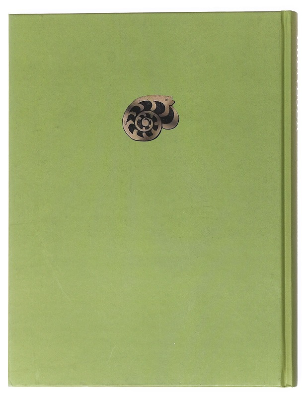 Ebeneser : 100 vuotta lasten hyväksi - Meretniemi, Maija - Elämäkerrat ja muistelmat - 10105521231 - 1