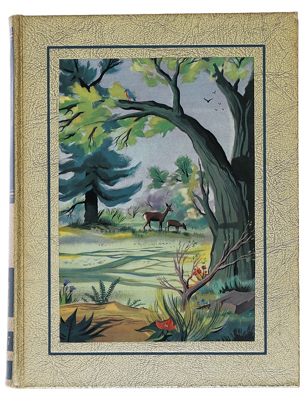 The bookshelf for boys and girls - Nature and science - Tietokirjat ja oppaat - 10105521826 - 0