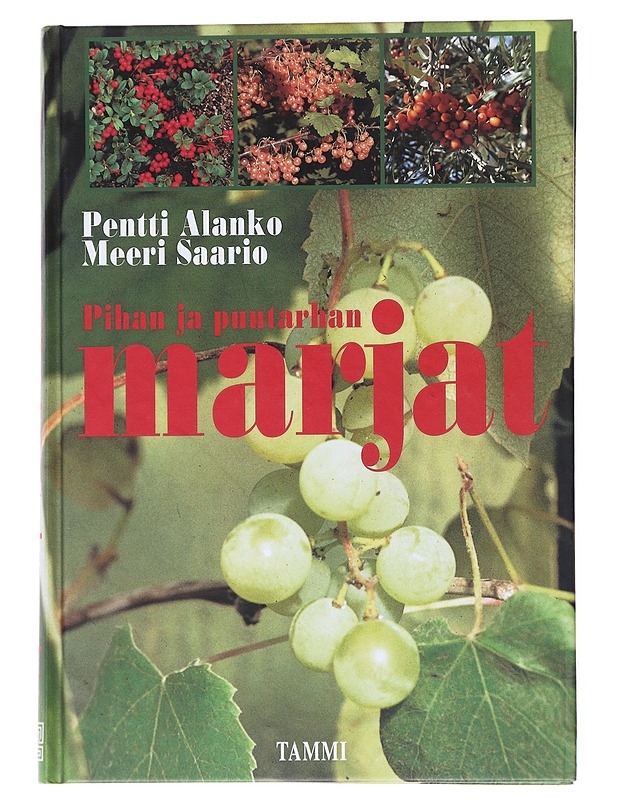Pihan ja puutarhan marjat - Alanko, Pentti - Tietokirjat ja oppaat - 10105521879 - 0