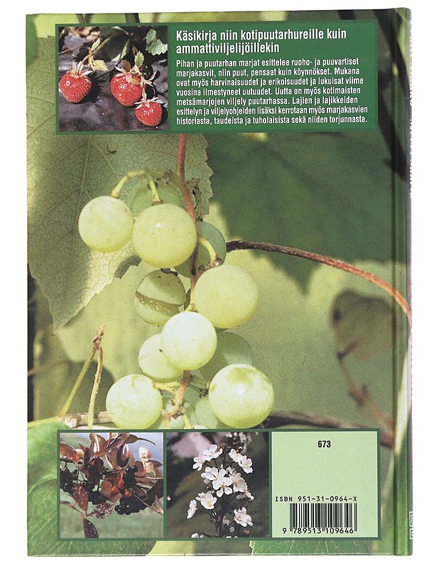 Pihan ja puutarhan marjat - Alanko, Pentti - Tietokirjat ja oppaat - 10105521879 - 1