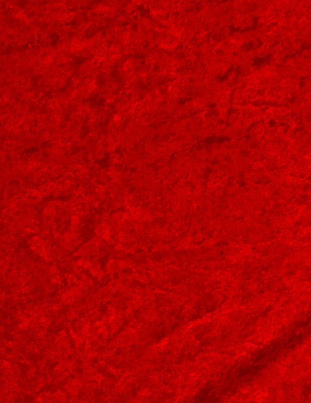 Loimusettikangas, 155x250 cm - Kankaat - 10105521873 - 0