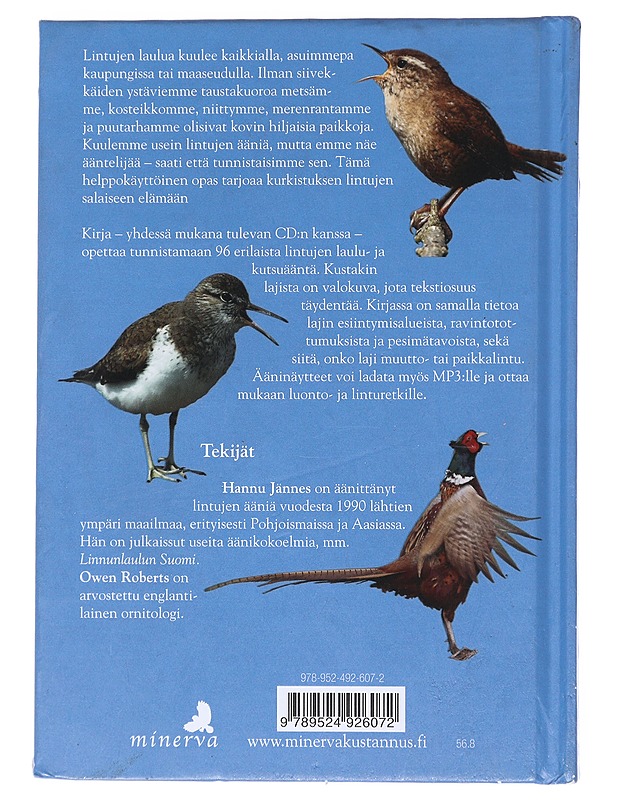 Lintujen äänet luonnossa - Jännes, Hannu - Tietokirjat ja oppaat - 10105522081 - 1