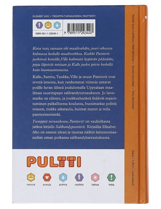 Tsemppiä turnaukseen, Pantterit! - Elisabet Aho - Nuorten kirjat - 10105522196 - 1