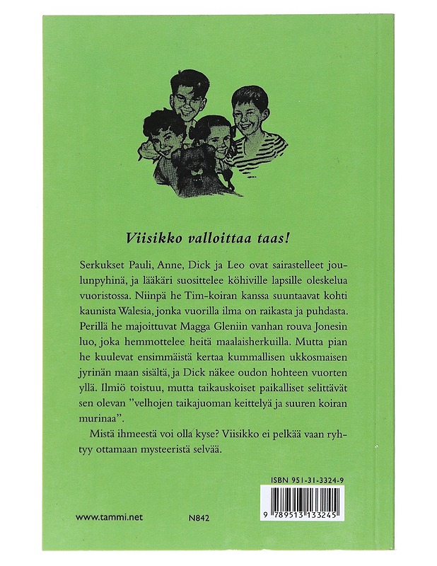 Viisikko vuoristossa - Blyton, Enid - Lastenkirjat - 10105522290 - 1