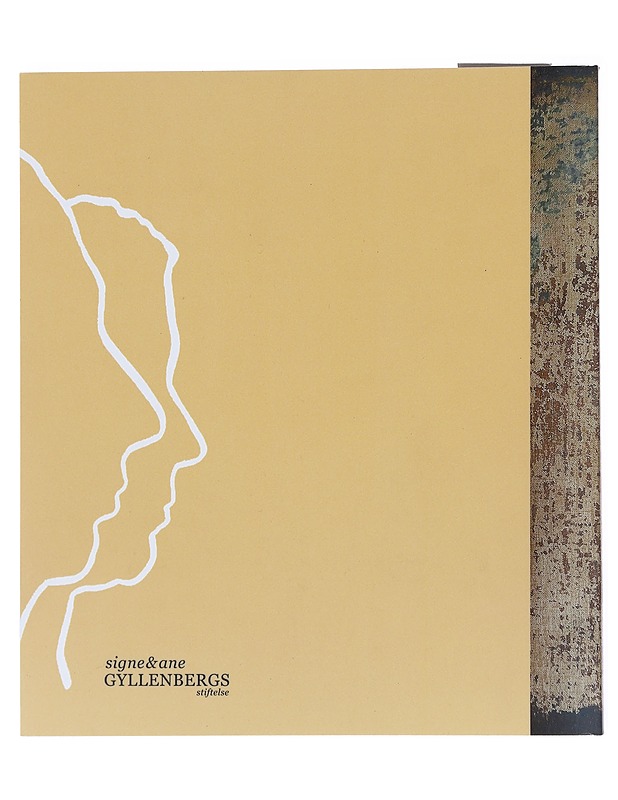 Helene Schjerfbeck - Schjerfbeck, Helene - Tietokirjat ja oppaat - 10105522378 - 1