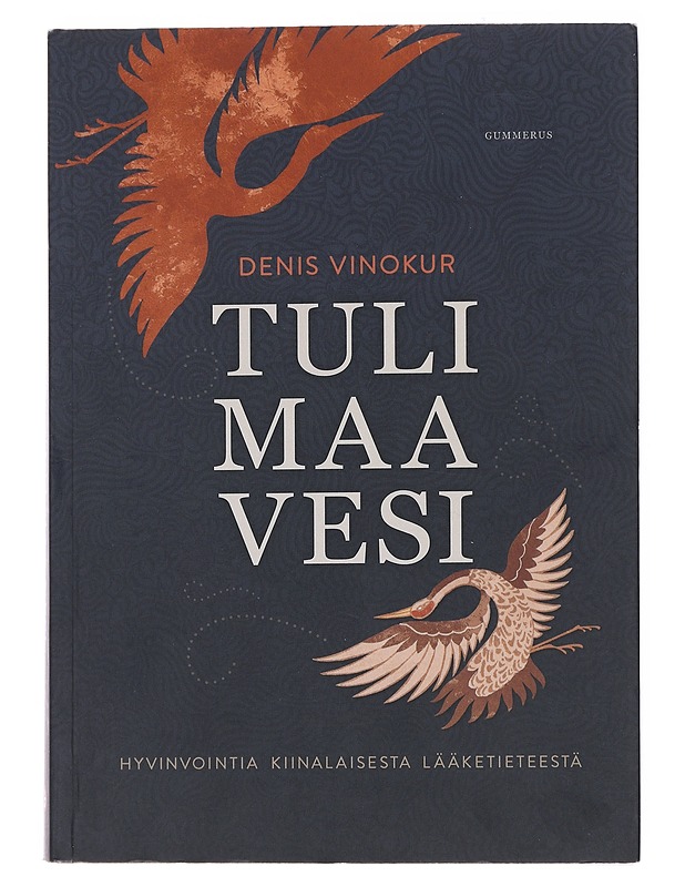 Tuli, maa, vesi  - Denis Vinokur - Tietokirjat ja oppaat - 10105522771 - 0