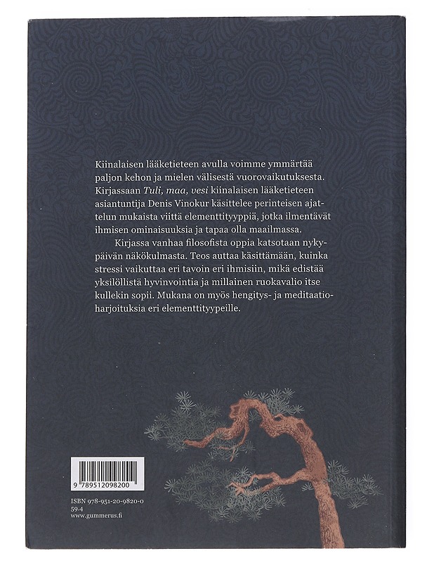 Tuli, maa, vesi  - Denis Vinokur - Tietokirjat ja oppaat - 10105522771 - 1