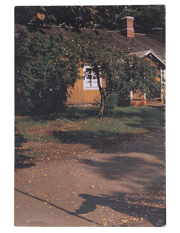 Kotikaupunkini Kerava 2 : Kerava-seuran julkaisuja n:o 2 - Ulpu Lehti - Historiakirjat - 10105522798 - 1