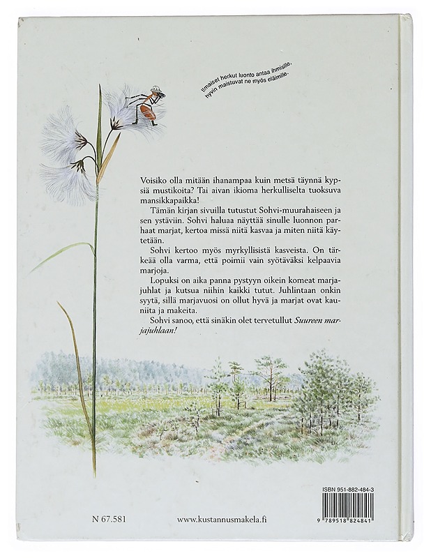 Sohvin marjakirja - Casta, Stefan - Harrastekirjat - 10105522911 - 1