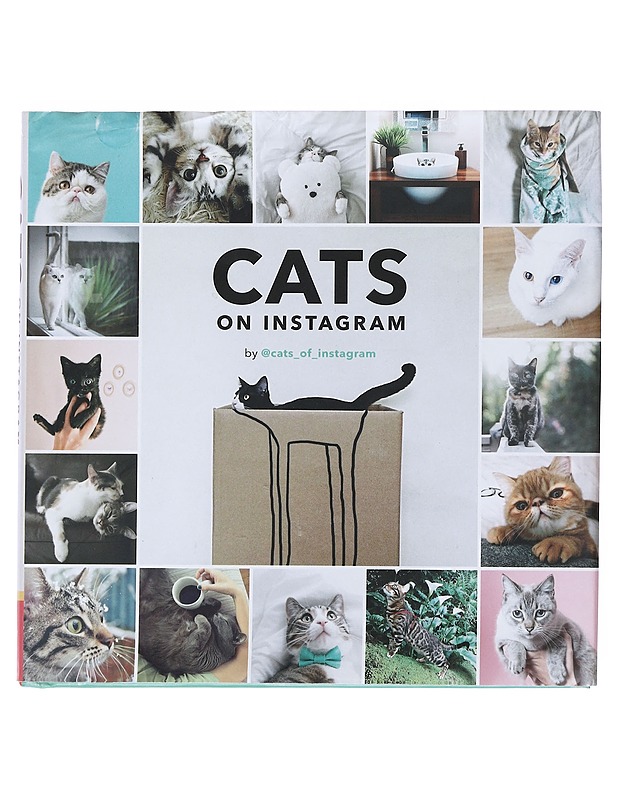 Cats on Instagram - @cats_of_instagram - Harrastekirjat - 10105523113 - 0