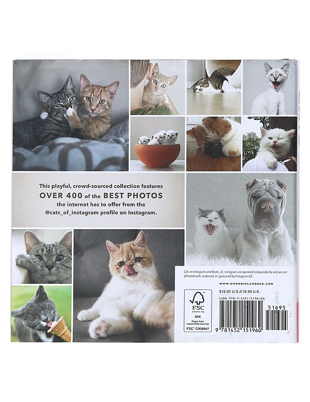 Cats on Instagram - @cats_of_instagram - Harrastekirjat - 10105523113 - 1