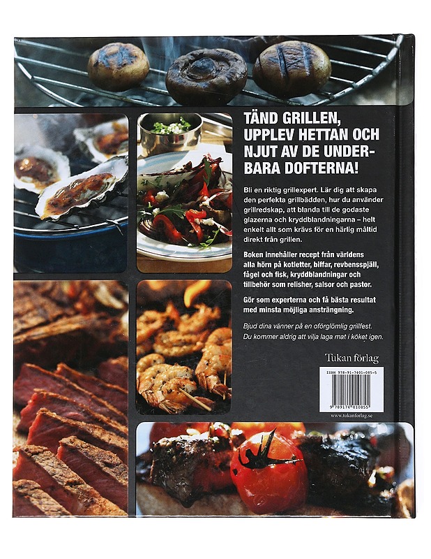 Stora grillboken recept och tekniker - Schlesinger, Chris - Ruokakirjat - 10105523140 - 1