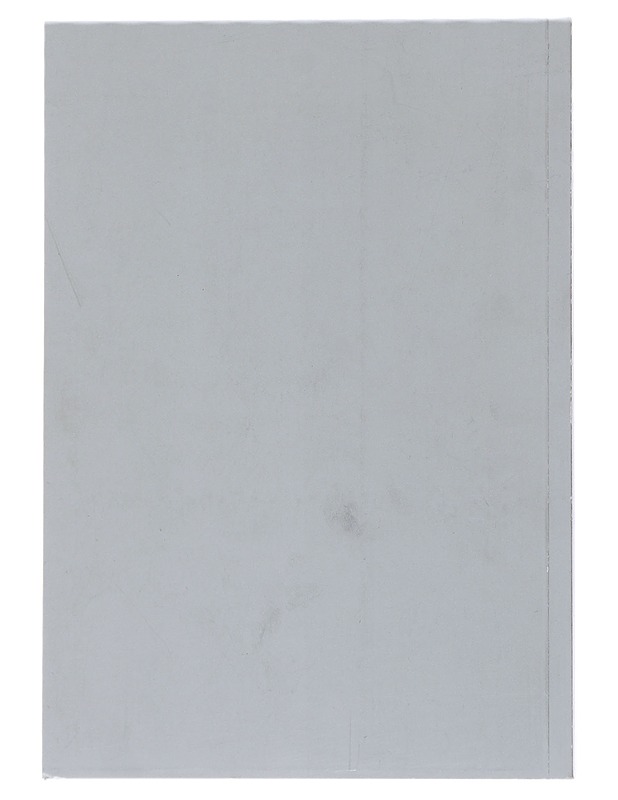 Kullanhuuhdonnan maailmanmestaruuskisat 10 vuotta- Helena Sahavirta - Tietokirjat - 10105523271 - 1