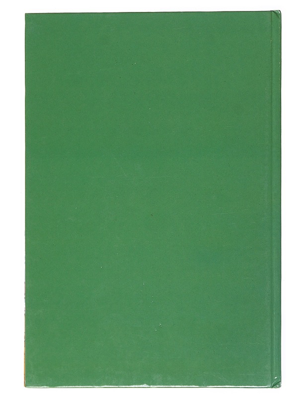 Vusselit : rantalomapäivä : Disneyn satulukemisto - Disney, Walt - Lastenkirjat - 10105523355 - 1