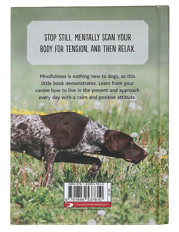 Mindfulness for Dogs - Sam Hart - Tietokirjat ja oppaat - 10105523567 - 1