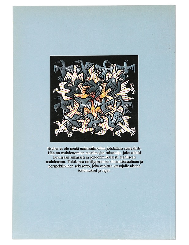 Maurits Cornelis Escherin taikapeili - Ernst, Bruno - Taide- ja kulttuurikirjat - 10105523653 - 1