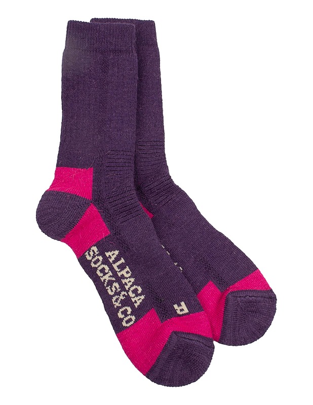 ALPACA SOCKS & CO sukat, 39-42 - Asusteet - 10105523688 - 0