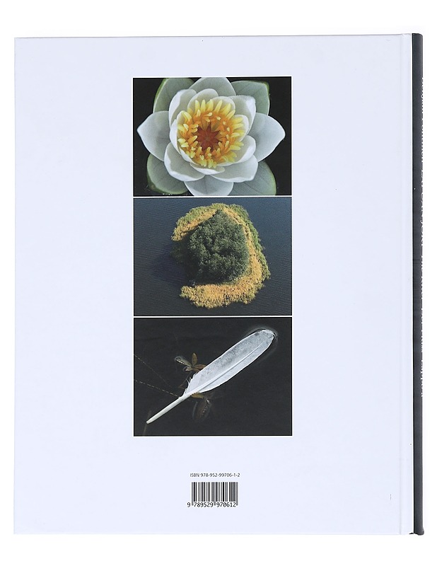 Lapuan joki - Benjam Pöntinen - Lemmikki- ja luontokirjat - 10105523721 - 1