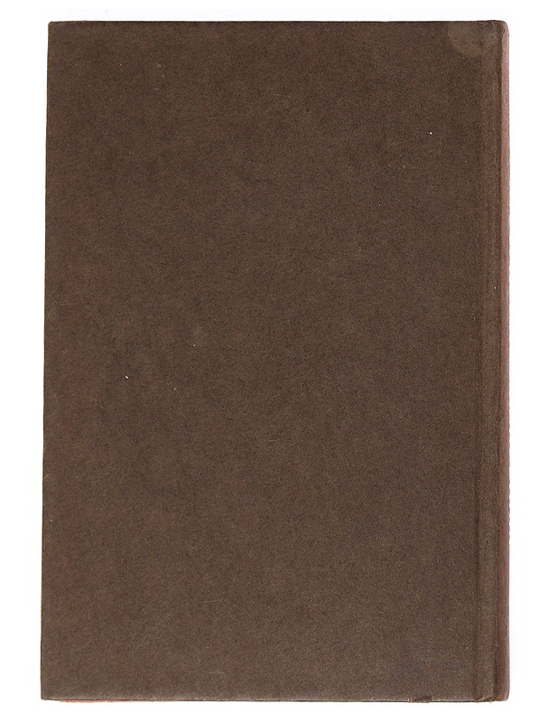 Aarresaari - Stevenson, Robert Louis - Romaanit ja novellit - 10105523811 - 1