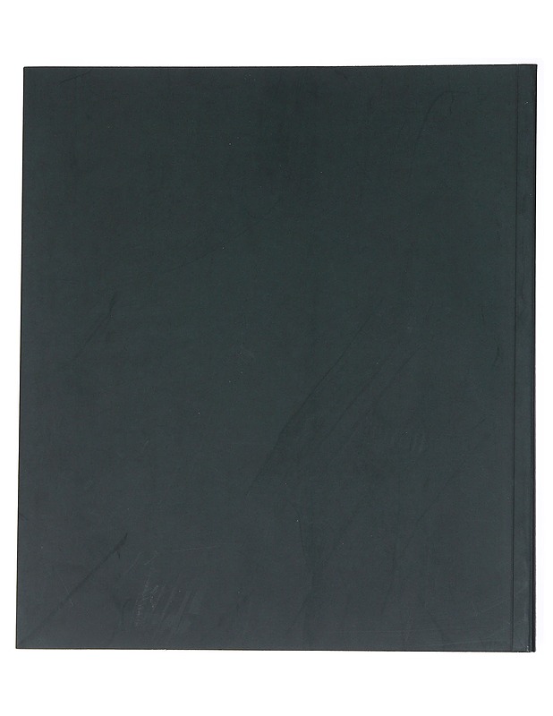 Tapio Wirkkala : Kuvanveistäjä - Taide- ja kulttuurikirjat - 10105523812 - 1