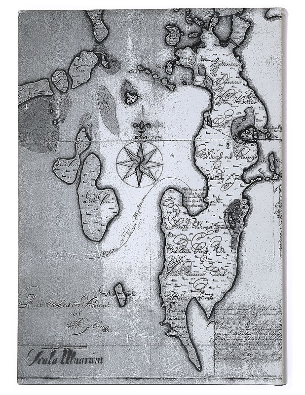 Johanneksen Huunonsaari - Pirkko Kanervo - Historiakirjat - 10105523853 - 1