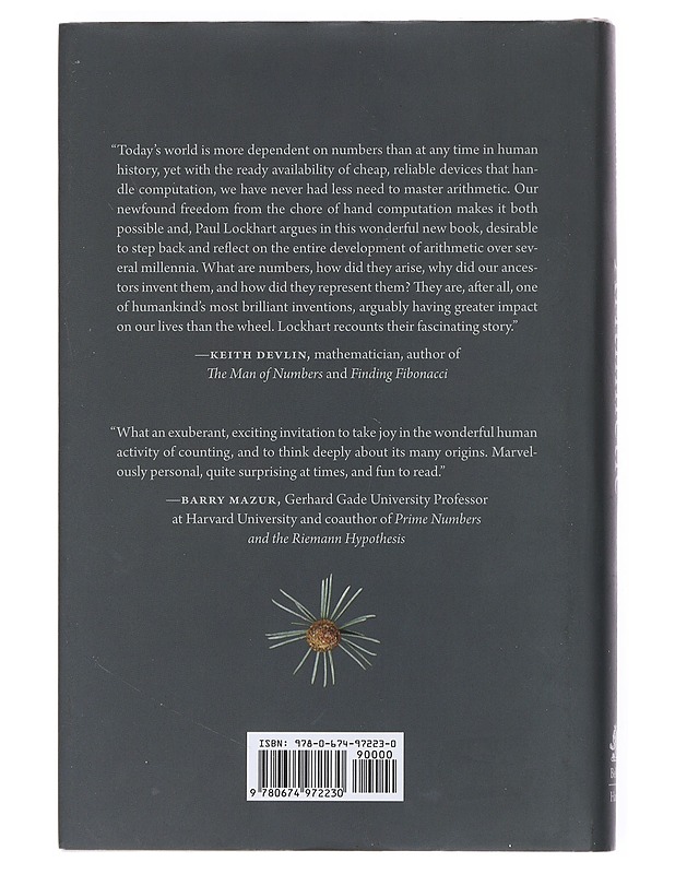 Arithmetic - Paul Lockhart - Tietokirjat ja oppaat - 10105524344 - 1