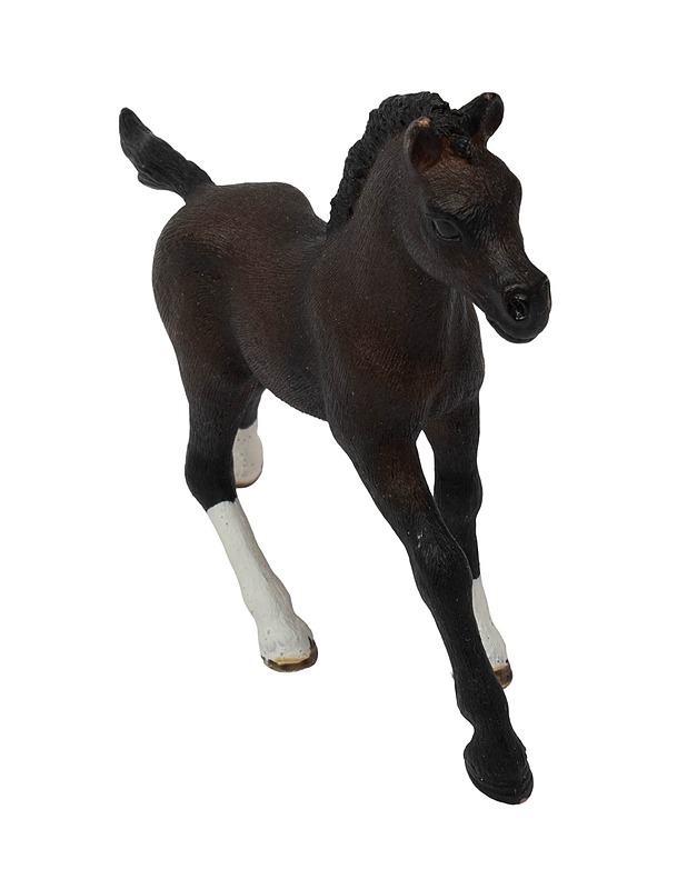 SCHLEICH Arabialaisvarsa figuuri - Lasten lelut - 10105524463 - 0