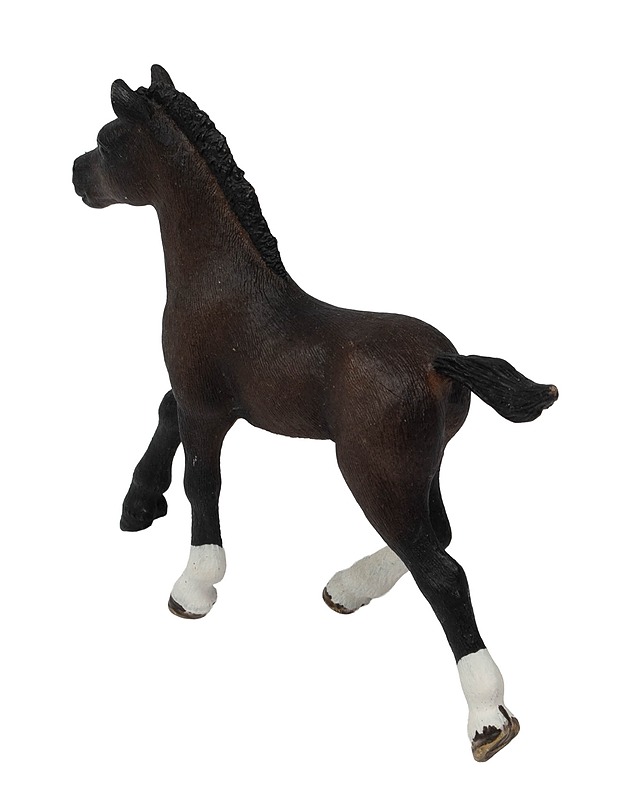 SCHLEICH Arabialaisvarsa figuuri - Lasten lelut - 10105524463 - 1