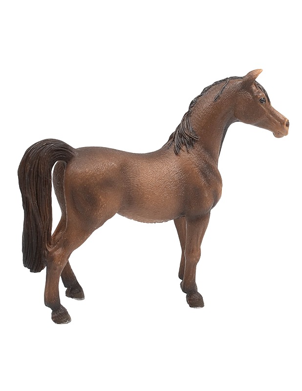 SCHLEICH Arabianhevonen - Lasten lelut - 10105524961 - 1