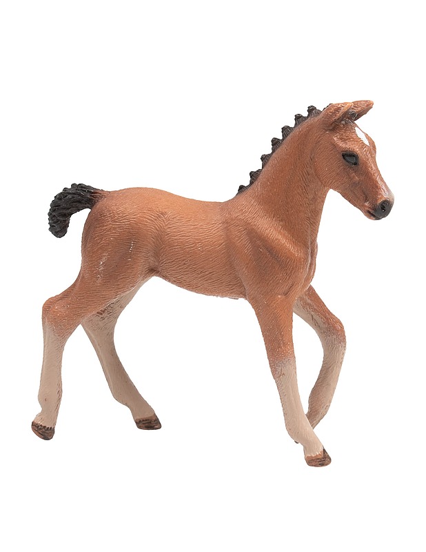 SCHLEICH Oldenburginhevosen varsa - Lasten lelut - 10105524970 - 0