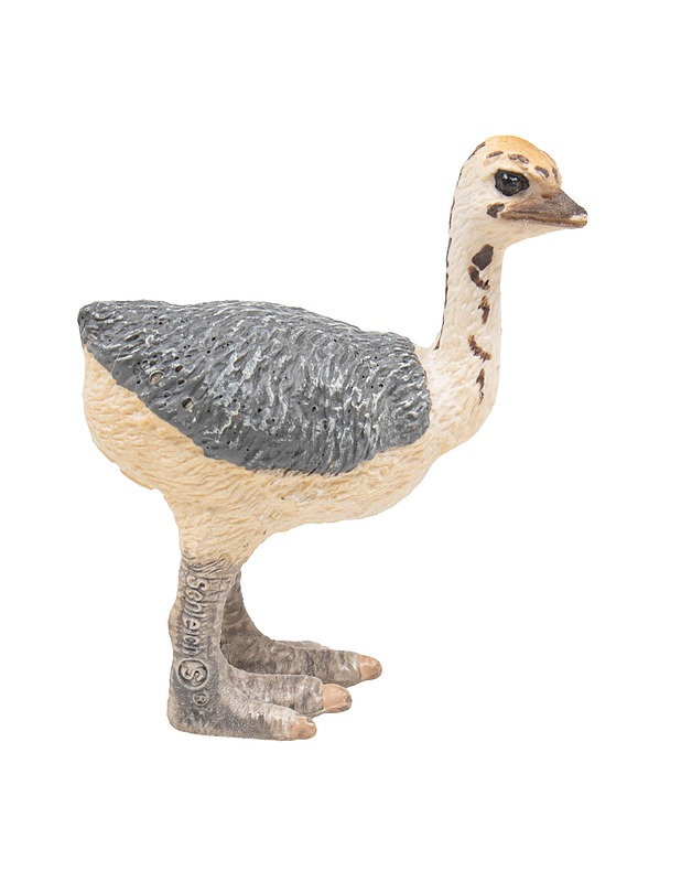 SCHLEICH strutsin poikanen - Lasten lelut - 10105524979 - 0