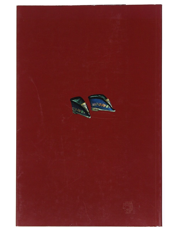 100% silk : kiinalaisen silkin tarina, kinesiska sidenets historia, the story of Chinese silk - Savelainen, Hannele - Historiakirjat - 10105525069 - 1