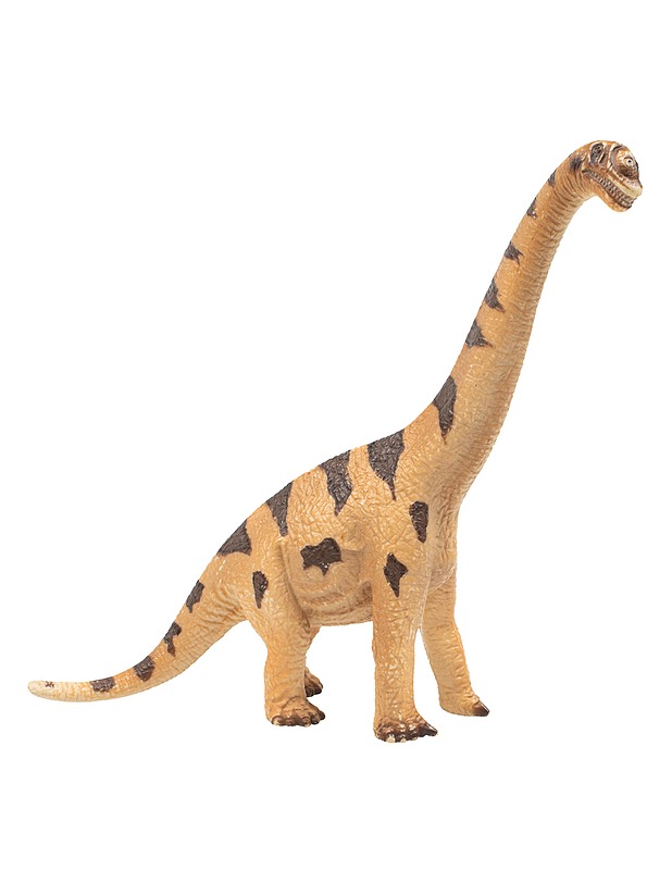 SCHLEICH Brachiosaurus - Lasten lelut - 10105525167 - 0