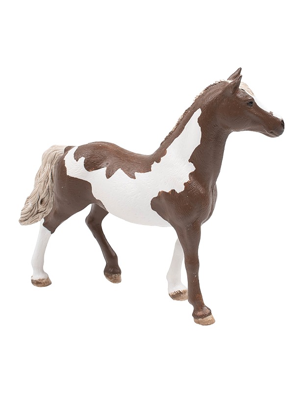 SCHLEICH Paint hevonen - Lasten lelut - 10105525199 - 1