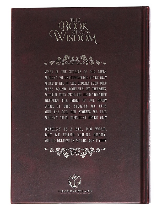The Book of Wisdom - Sarah Maria Griffin - Fantasia- ja scifi - 10105525207 - 1