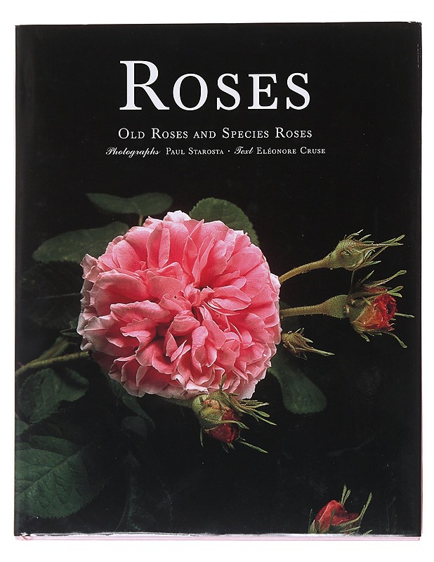 Roses : old roses and species roses - Starosta, Paul - Tietokirjat ja oppaat - 10105525442 - 0