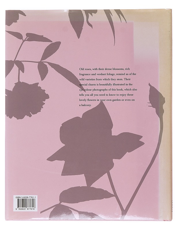 Roses : old roses and species roses - Starosta, Paul - Tietokirjat ja oppaat - 10105525442 - 1
