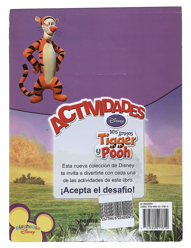 Mis Amigos Tigger Y Pooh - Lastenkirjat - 10105525513 - 1