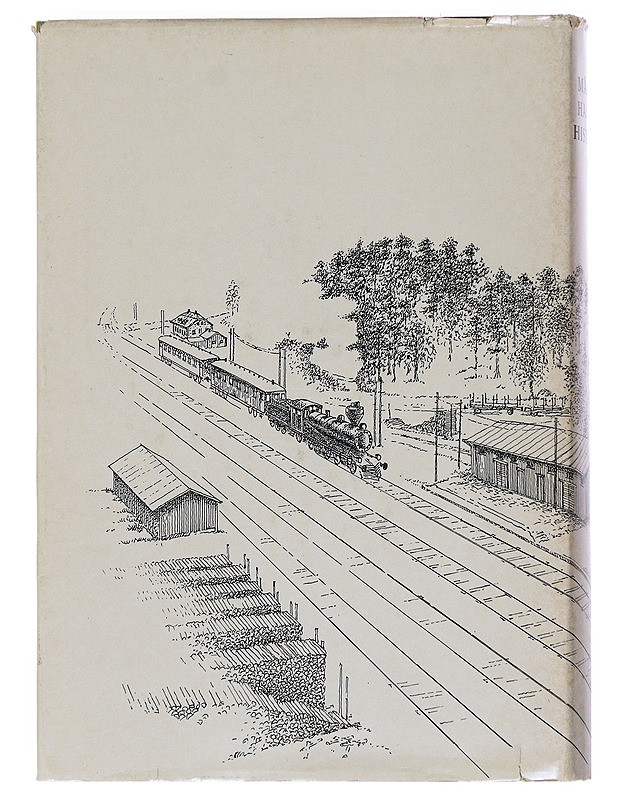 Mäntyharjun Historia II- Martti Favorin - Historiakirjat - 10105525781 - 1